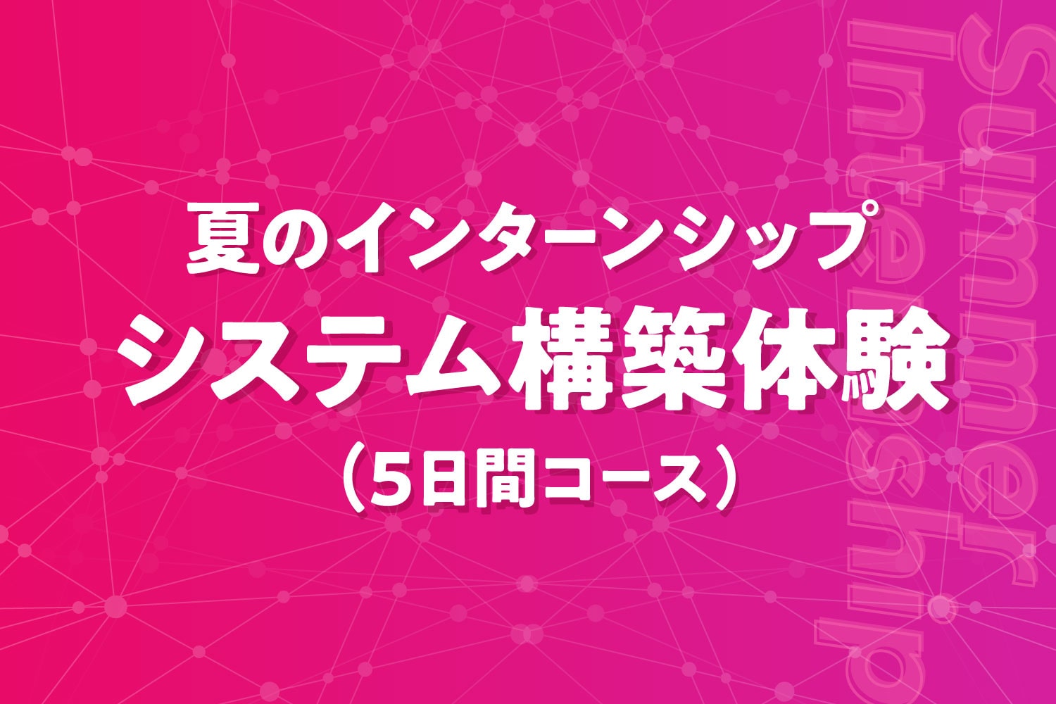 夏のインターンシップ開催