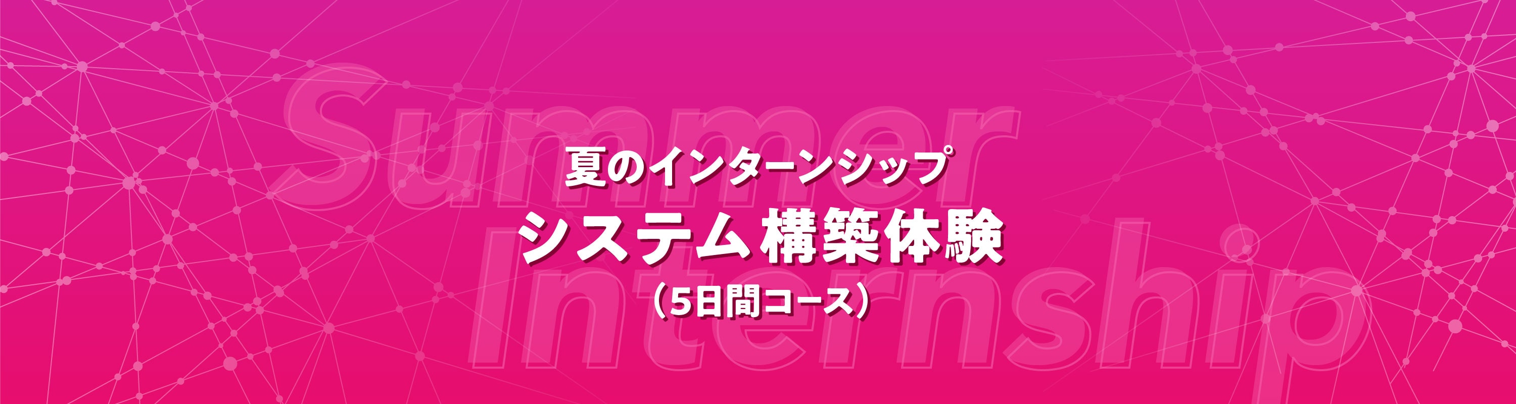 夏のインターンシップ開催